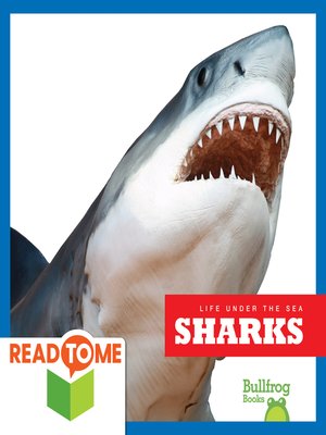 Sharks - ebook